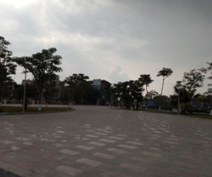 Điều chuyển công tác chủ tịch phường để dân chặt 2 cây quý