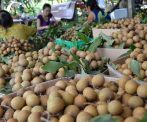 Mỹ nhập siêu hơn 29 tỷ USD từ Việt Nam năm 2016