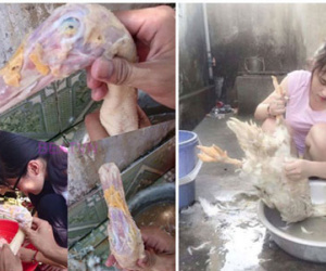 Thiếu nữ đảm đang ra mắt mẹ chồng với con gà lột da tơi tả khiến ai ai cũng... giật mình sợ hãi