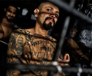 Băng đảng xăm mình khét tiếng ở khu vực Mỹ Latinh