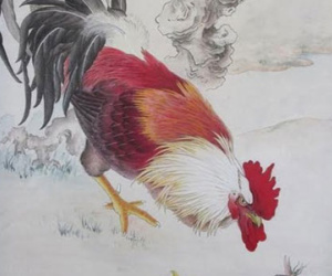 Tuổi Dậu trong năm tuổi sẽ đối mặt nhiều biến động