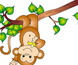Tuổi Thân năm Đinh Dậu thận trọng, tránh tổn thất kinh tế