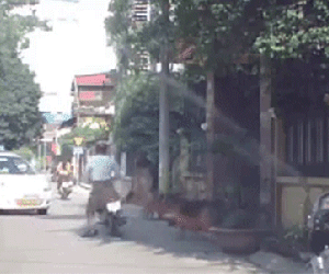 Clip: Chó nhà lao ra sủa inh ỏi, người đàn ông giật mình phi thẳng xe máy vào taxi