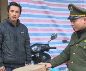 Chi Cục trưởng Kiểm lâm Hà Giang nói về vụ bắt giữ người vận chuyển 2 thớt gỗ