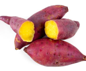 Khoai lang chữa tiểu đường hiệu quả