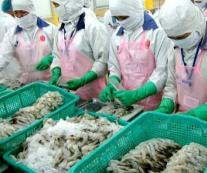 Nhiều doanh nghiệp thủy sản bị lừa hàng trăm nghìn USD
