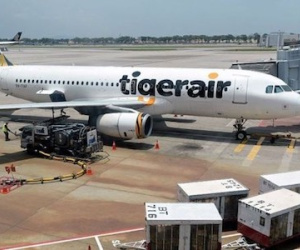 Tigerair Australia bị cấm bay, hàng trăm du khách kẹt tại Bali
