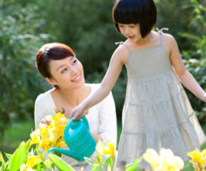 Ảnh bìa bài viết 423597