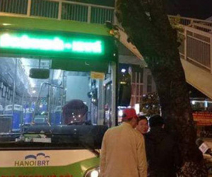 Buýt nhanh Hà Nội rạn kính phía trước vì đâm vào cây xà cừ