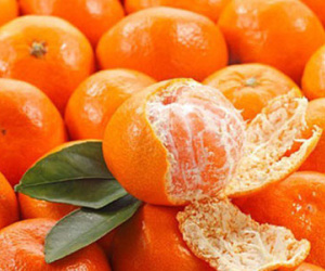 Ăn 1 quả quýt bằng dùng 5 vị thuốc bổ