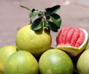 Những ai không nên ăn bưởi?