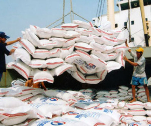 Việt Nam dự kiến xuất khẩu 3 triệu tấn gạo sang Philippines