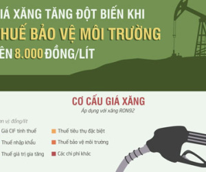 Giá xăng tăng ra sao nếu 'gánh' thêm 8.000 đồng thuế?