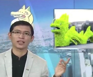 "Rồng pikachu" ở Hải Phòng lên sóng truyền hình, dân mạng sửng sốt