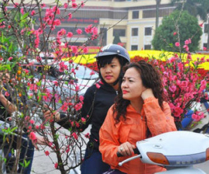 Chi tiết thời tiết 3 miền dịp Tết Nguyên Đán