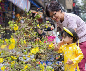 Chợ hoa phố cổ Hà thành nhộn nhịp trước ngày Táo quân