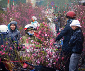 Chợ hoa Quảng Bá vào top điểm đón Tết Nguyên Đán đẹp nhất