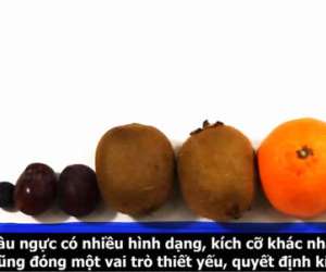 Những điều không nói ra bạn sẽ không bao giờ biết về bộ ngực của mình