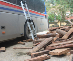 Xe khách biển số nước ngoài vận chuyển gần 2.600 kg gỗ quý