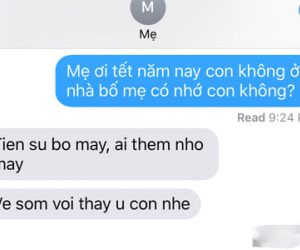 Mẹ ơi Tết đầu tiên làm dâu mới, con chẳng về phụ giúp được mẹ cha