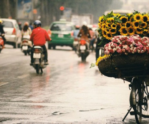 Kinh nghiệm du lịch Hà Nội dịp Tết đầy đủ siêu tiết kiệm