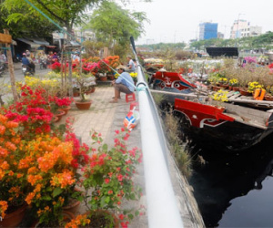 Bến Bình Đông rực rỡ hoa kiểng trên bến dưới thuyền