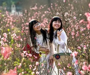 Cả nước nắng tưng bừng đến hết Tết