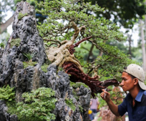 Nhiều cây độc lạ ở hội hoa xuân lớn nhất Sài Gòn