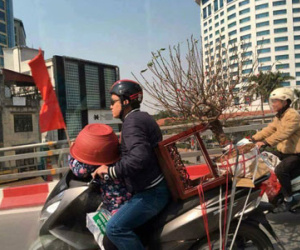 Bức ảnh "bố ơi mình đi đâu thế" phiên bản lỗi ngày cuối năm: Bố chở đào Tết, con đội... chậu