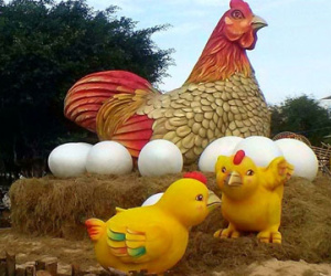 Gà mẹ đẻ trứng trong hội hoa xuân Vũng Tàu
