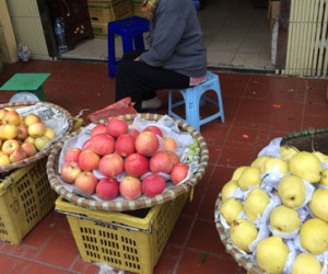 Kinh doanh hoa quả Trung Quốc "èo uột" dịp Tết