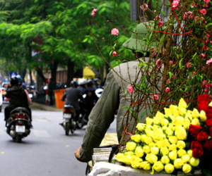 Ngày 30 Tết, Hà Nội nắng đẹp, TPHCM khả năng có mưa giông