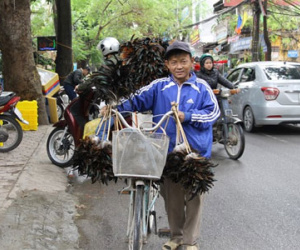 Những loại hàng rong bỗng hot dịp Tết