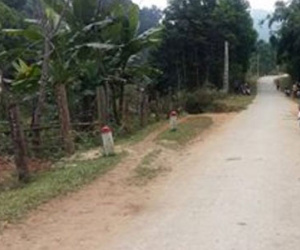 Đi chơi Tết, phát hiện người phụ nữ treo cổ bên bìa rừng