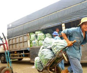 CPI tháng tết tăng mạnh do giao thông và xăng dầu