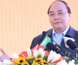 Thủ tướng muốn có gói tín dụng 100.000 tỷ đồng cho nông nghiệp công nghệ cao