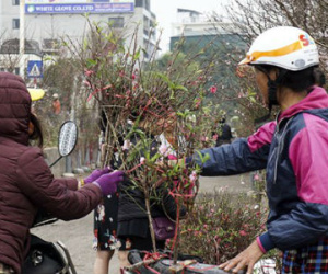 Đào Nhật Tân tấp nập ra chợ trước ngày Rằm tháng Giêng