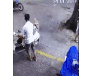 Thanh niên trộm chó táo tợn, ngay trước mắt chủ nhân