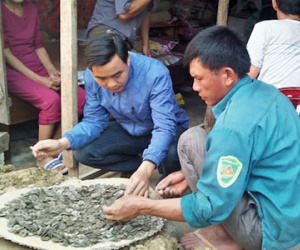 Đào móng nhà, người đàn ông phát hiện hũ tiền cổ đúng ngày vía Thần tài
