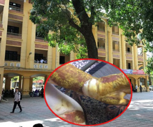 Sở GD-ĐT Hà Nội chỉ đạo xử lý nghiêm cá nhân liên quan đến vụ nổ khiến nữ sinh Phan Đình Phùng bị bỏng