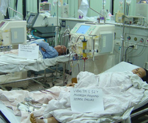 Cả gia đình thuê trực thăng nhập viện Bạch Mai cấp cứu vì ngộ độc nấm rừng