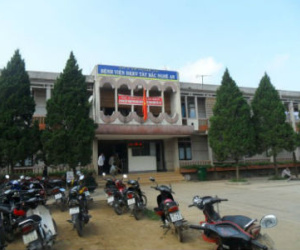 Bé trai 7 tháng tuổi tử vong sau 15 phút ở bệnh viện