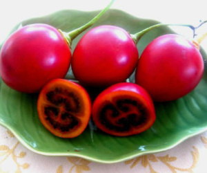 Cà chua lạ 1 triệu đồng/kg: Hàng hiếm xôn xao Hà Thành