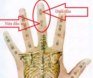 Bôi dầu gió lên đốt ngón tay giữa: Cách hay trong Đông y để phát hiện bệnh về não