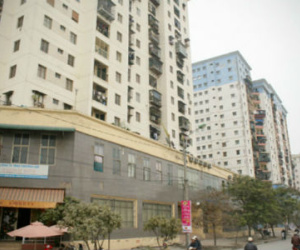 Chuột 'đại náo' chung cư Hà Nội: Khổ lắm nhưng bó tay