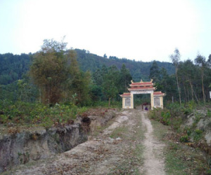 Cho phá rừng làm “siêu nghĩa trang”