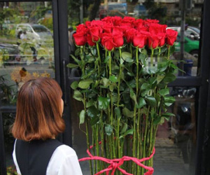 Hoa hồng giá nửa triệu cao hơn người cháy hàng dịp Valentine
