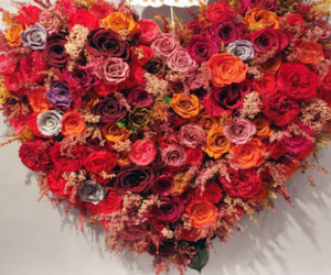 Ông chồng Sài Gòn mua bông hoa khô cao gần mét tặng vợ lễ Valentine