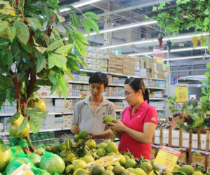 Bốn bộ vào cuộc “mở rộng cửa” cho các nhà bán lẻ Việt
