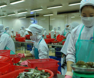 Hàng Việt sang Mỹ giảm hơn 600 triệu USD khi ông Trump lên làm tổng thống